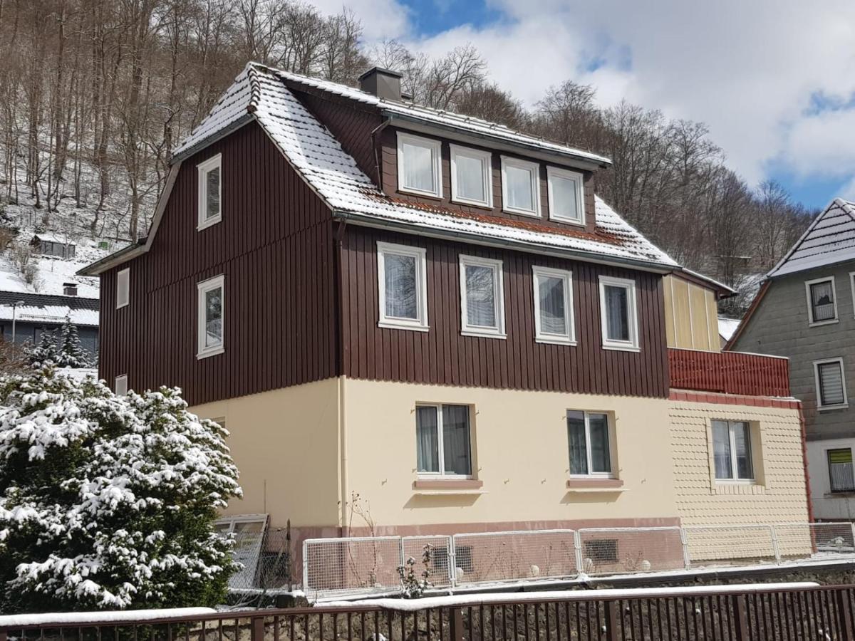Ferienhaus Am Fluss Mit Traumhafter Dachterrasse ,Garten Und Grill Walkenried エクステリア 写真