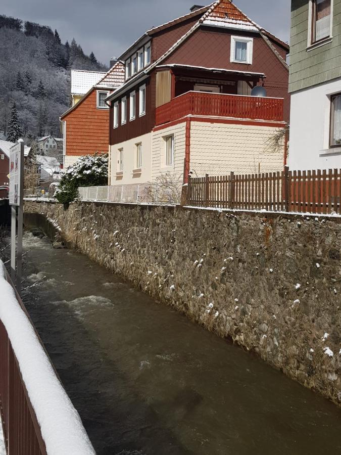 Ferienhaus Am Fluss Mit Traumhafter Dachterrasse ,Garten Und Grill Walkenried エクステリア 写真