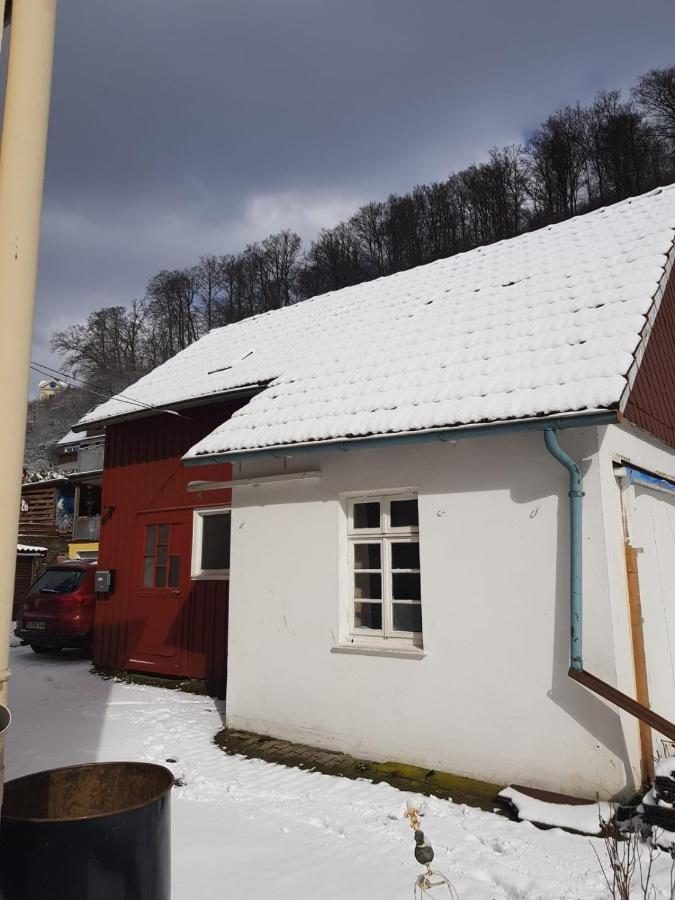 Ferienhaus Am Fluss Mit Traumhafter Dachterrasse ,Garten Und Grill Walkenried エクステリア 写真