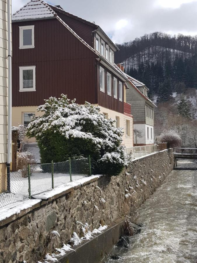 Ferienhaus Am Fluss Mit Traumhafter Dachterrasse ,Garten Und Grill Walkenried エクステリア 写真