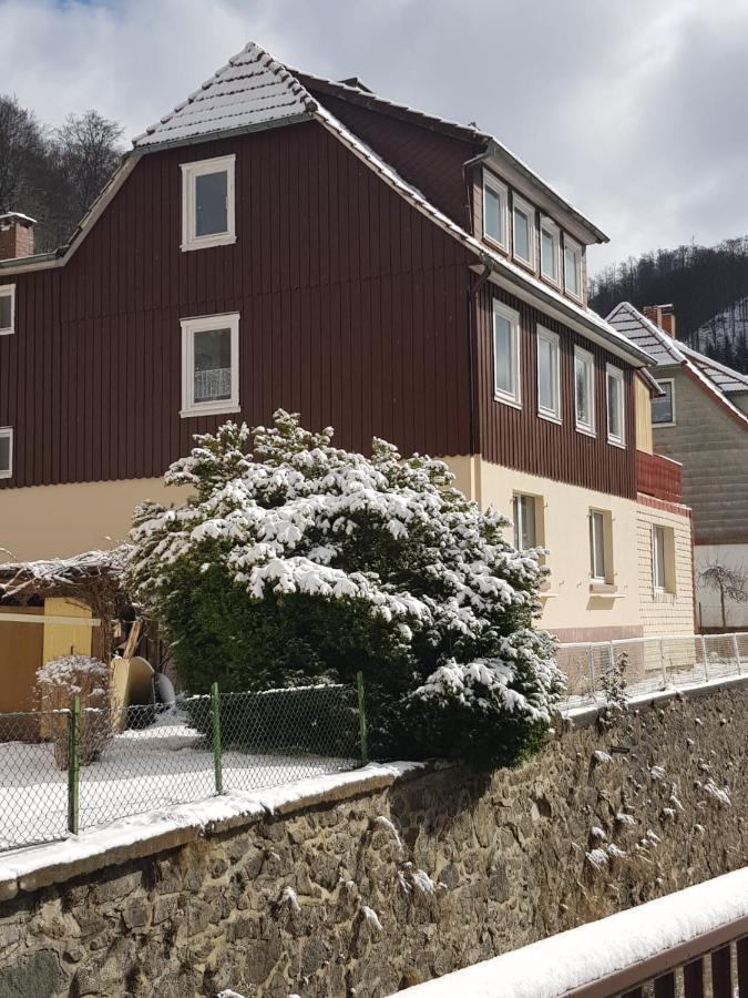 Ferienhaus Am Fluss Mit Traumhafter Dachterrasse ,Garten Und Grill Walkenried エクステリア 写真
