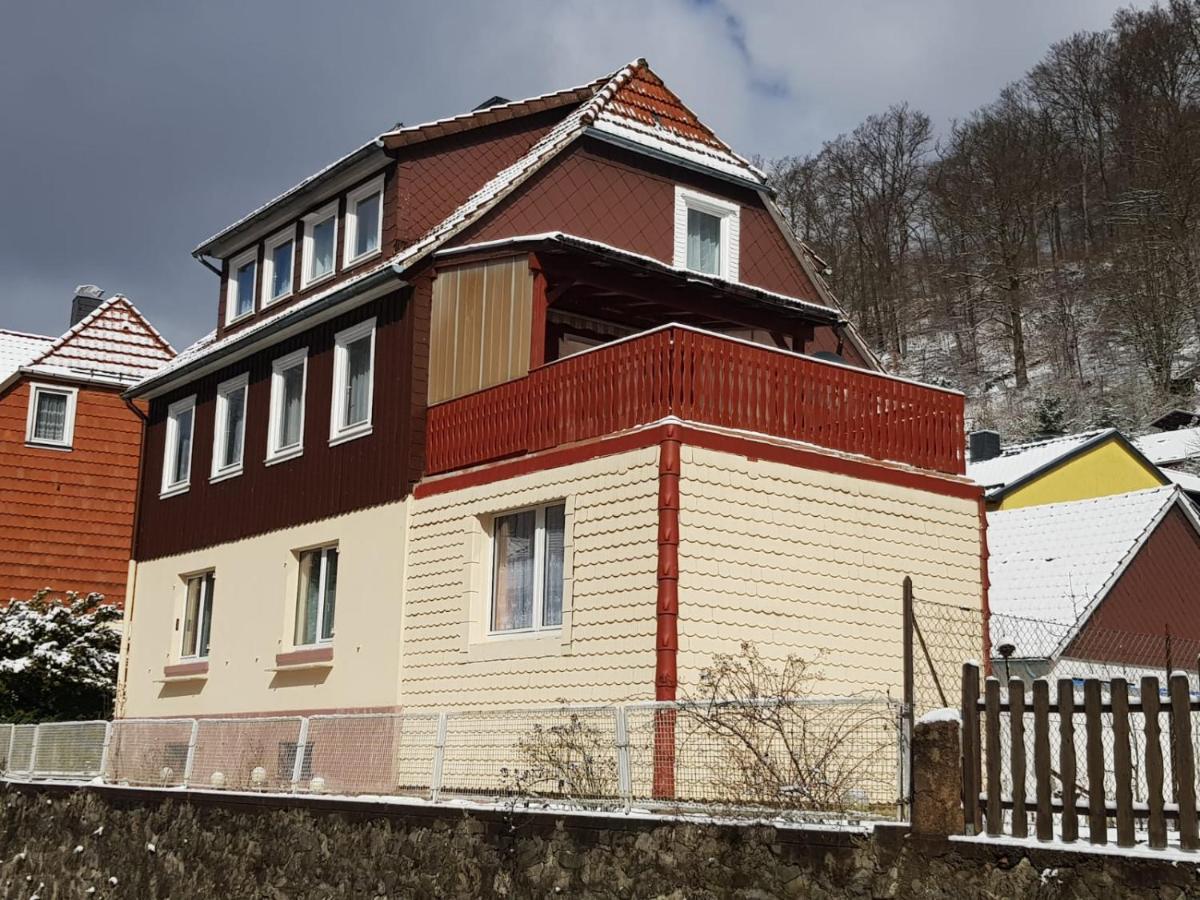 Ferienhaus Am Fluss Mit Traumhafter Dachterrasse ,Garten Und Grill Walkenried エクステリア 写真