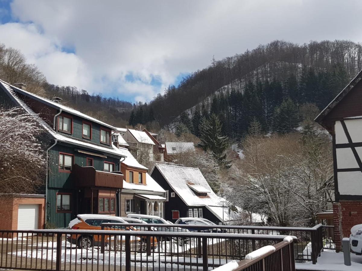 Ferienhaus Am Fluss Mit Traumhafter Dachterrasse ,Garten Und Grill Walkenried エクステリア 写真