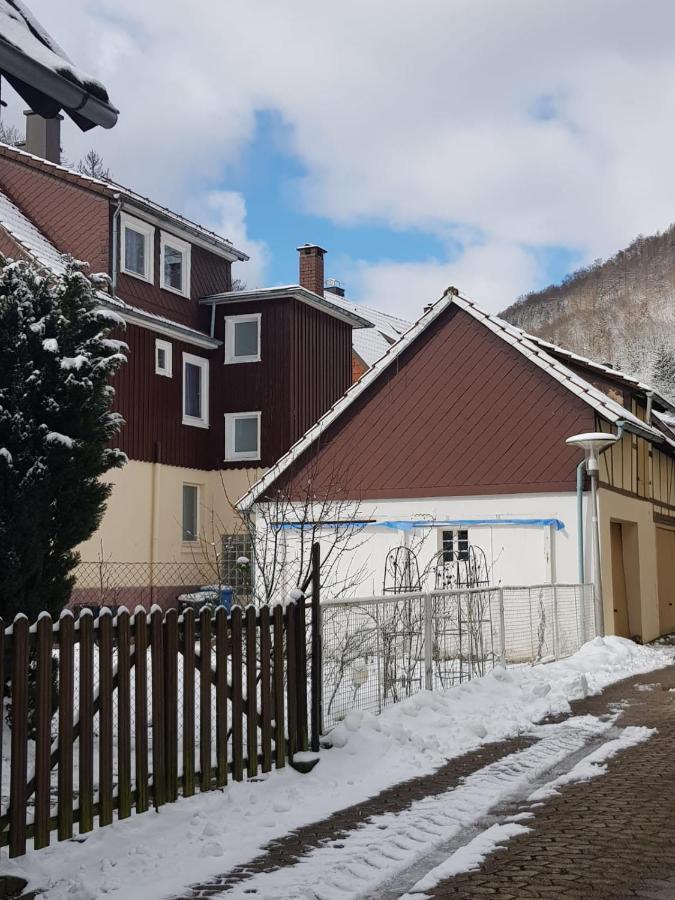 Ferienhaus Am Fluss Mit Traumhafter Dachterrasse ,Garten Und Grill Walkenried エクステリア 写真