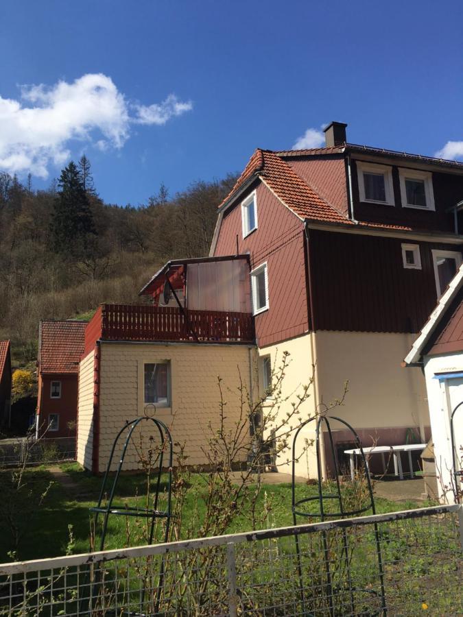 Ferienhaus Am Fluss Mit Traumhafter Dachterrasse ,Garten Und Grill Walkenried エクステリア 写真