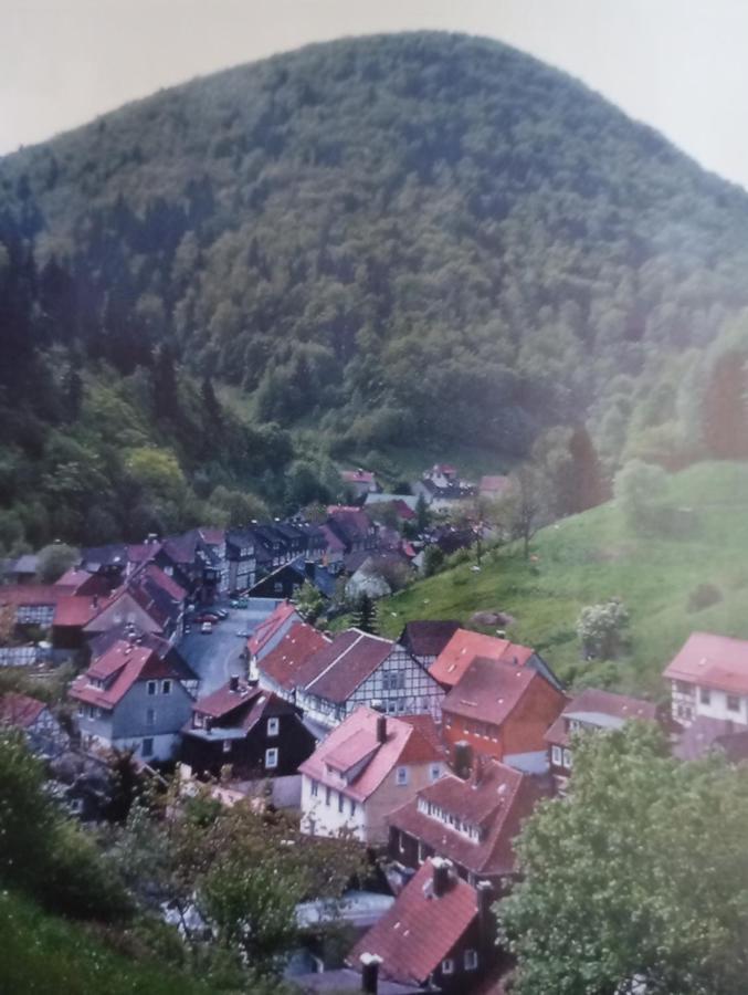 Ferienhaus Am Fluss Mit Traumhafter Dachterrasse ,Garten Und Grill Walkenried エクステリア 写真